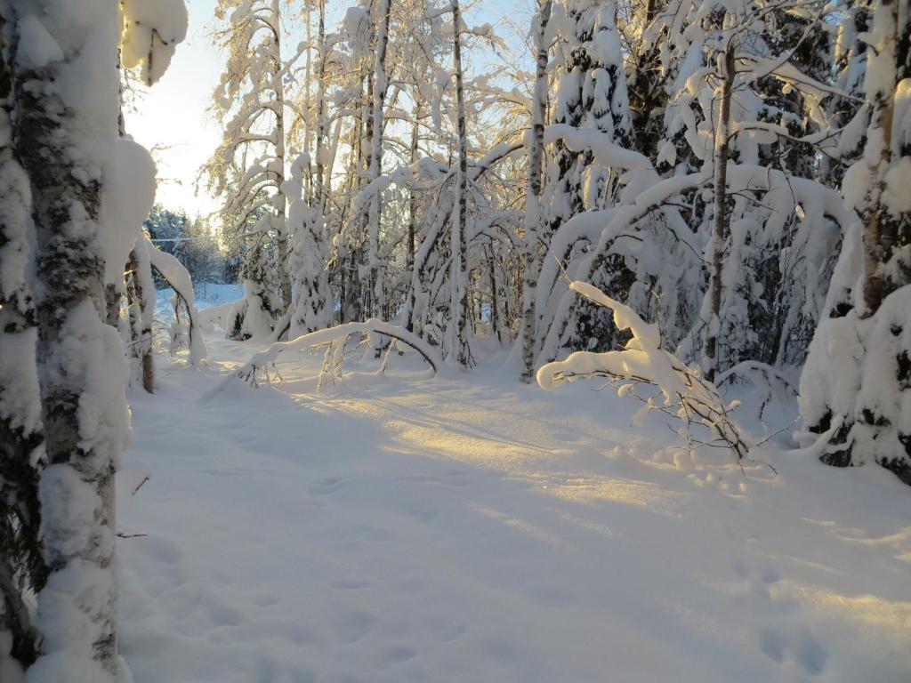 Myllyn Pirtti Cottage Naamijoki Zewnętrze zdjęcie