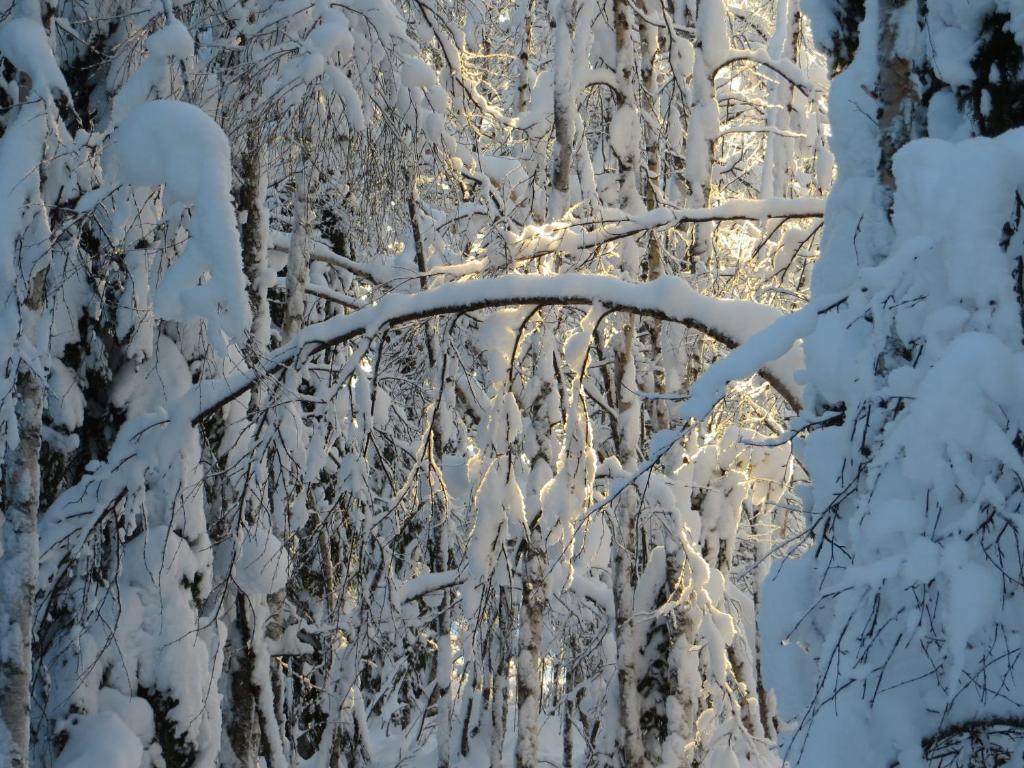Myllyn Pirtti Cottage Naamijoki Zewnętrze zdjęcie